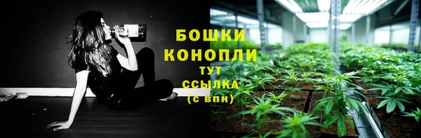 альфа пвп Бородино