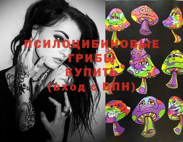 синтетический гашиш Богородицк