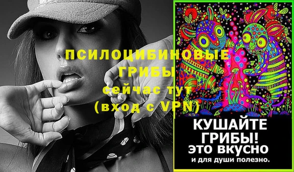 метадон Богданович